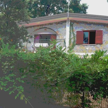 Villa Luisa Sul Mare 卡皮泰洛 外观 照片